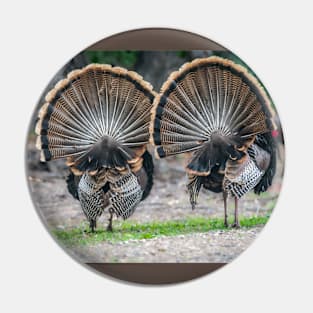 My Fanned Tail Feathers Are Bigger Than Yours Pin