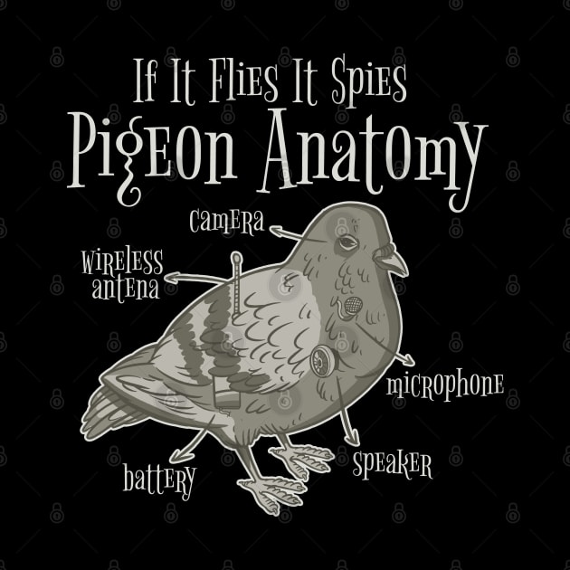 Pigeon anatomy by Christyn Evans