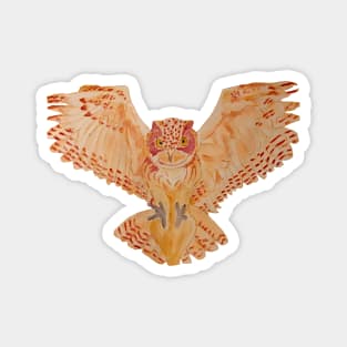 Owl landing Magnet