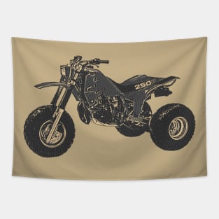 1985 ATC 250R Tapestry