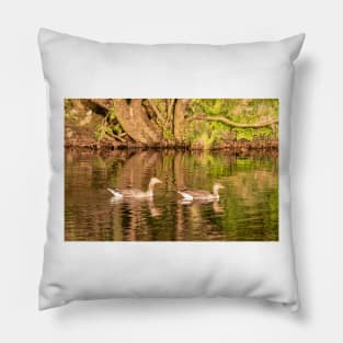 Greylag geese, Isle of Mull Pillow