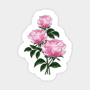 Pink Roses - Hand-painted watercolor flowers Magnet