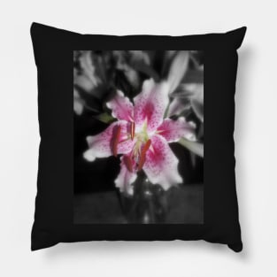 Stargazer Lilies#3 Pillow