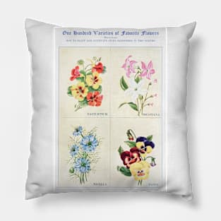 Flower watercolor illustration (1915) Pillow