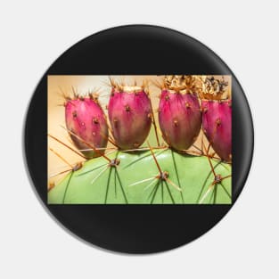 Prickly Pears Pin