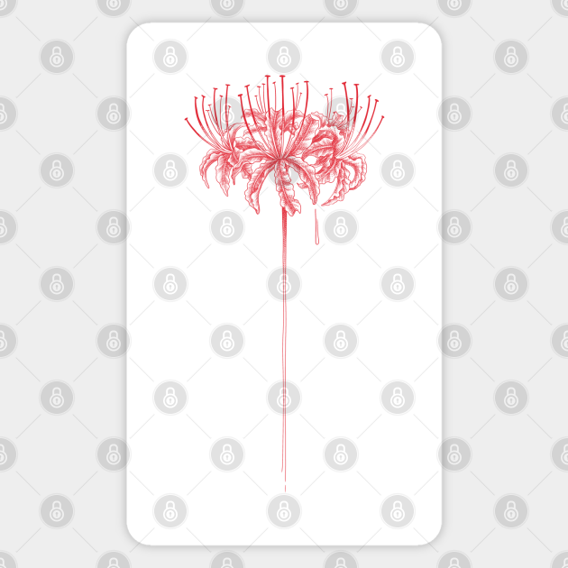 Red spider lily - Red Spider Lily - Sticker | TeePublic Red spider lily - Red Spider Lily - Sticker | TeePublic
