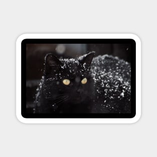 Halloween kitty Magnet