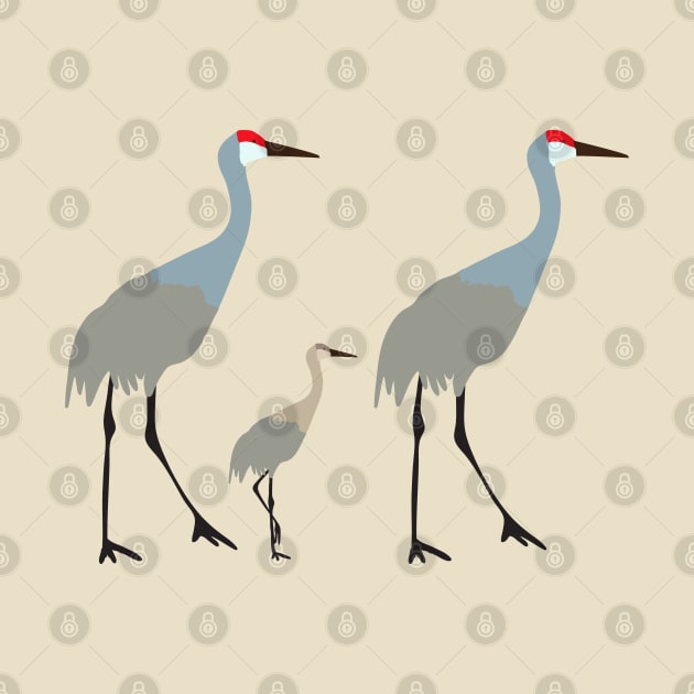 Sandhill cranes with baby by Jennifer Ladd