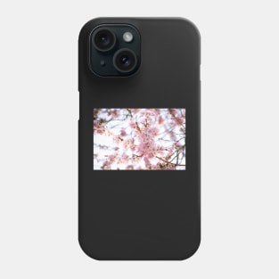 Sakura Blossoms Phone Case