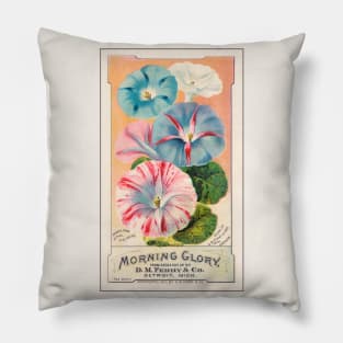 D. M. Ferry & Co. Morning Glory Pillow