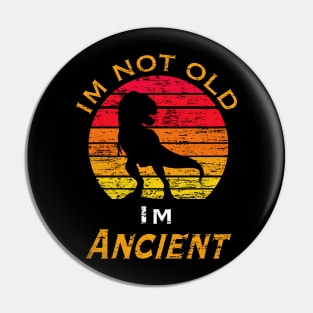 I’m not old I’m ancient Pin