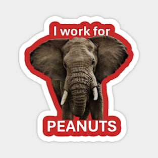 Elephant I Work For Peanuts Funny Design Magnet