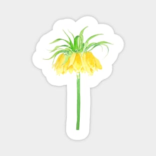 Yellow Crown Imperial Fritillaria watercolor Magnet