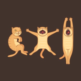 3 steps of stretching the cat T-Shirt