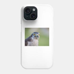 Close up view of a falcon Phone Case