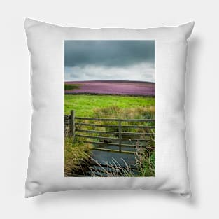 Marske Swaledale Pillow