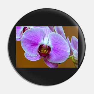 orchid Pin