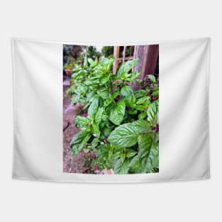 Basil Tapestry