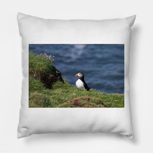 Puffin on the edge of a cliff Pillow by HazelWright