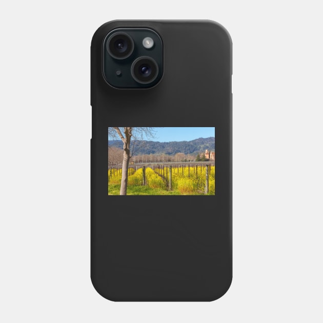 Spring in the Valley Phone Case by jvnimages