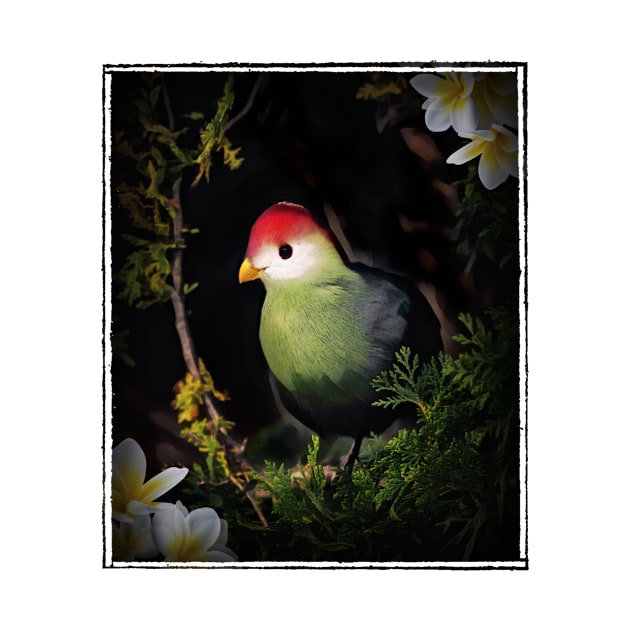 Red Crested Turaco Bird by PhotoArts