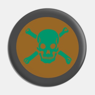 Skull & Crossbones Pin