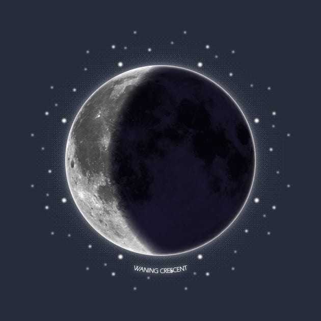 Waning Crescent - Moon Phases by meownarchy