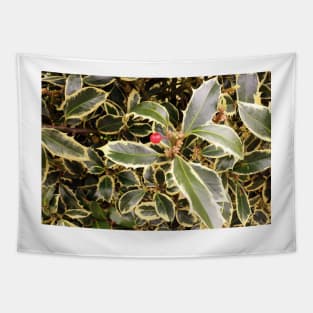 Variegated Holly Bush Tapestry