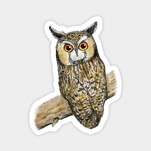 A colored pen drawing of a long-eared owl Magnet