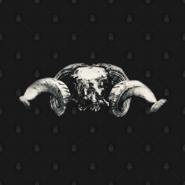 Ram Skull by RaphaelWolf