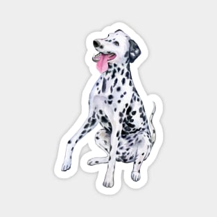 hand drawn Dalmatian Magnet