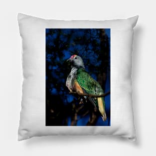 Rose Crowned Fruit Dove Pillow