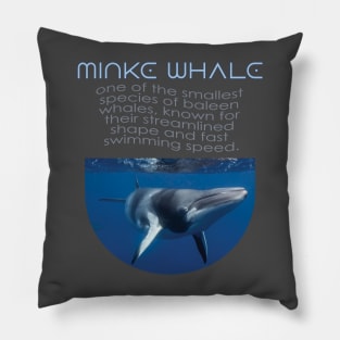 Alaska Whale Watching Pillow