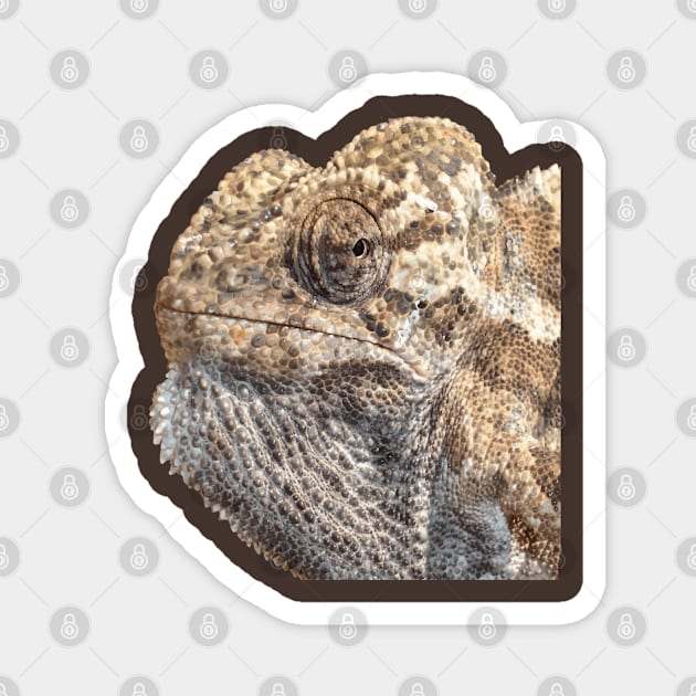 Chameleon With Sinister Facial Expression Vector Art Magnet by taiche