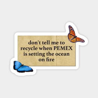 End Climate Change - Don't Just Recycle Magnet