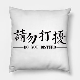 Traditional Chinese Characters: Do Not Disturb Pillow