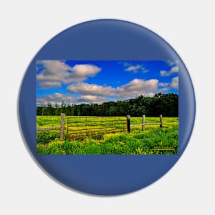 Blue Skies and Golden Pastures Pin