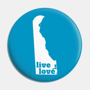 Delaware - Live Love Delaware Pin