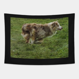 Dog running Tapestry