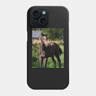 TB COLT Phone Case