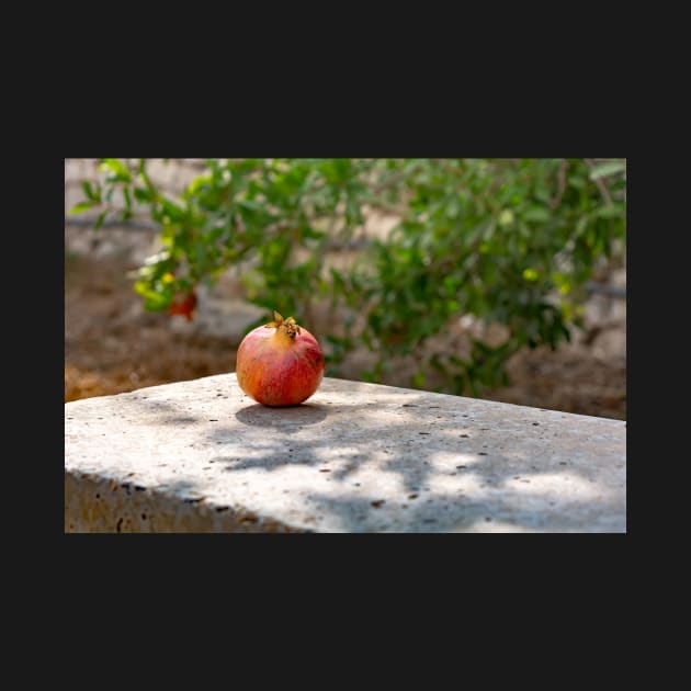 Pomegranate fruit by lena-maximova