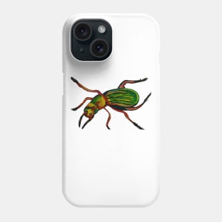 Colorful Insect Phone Case