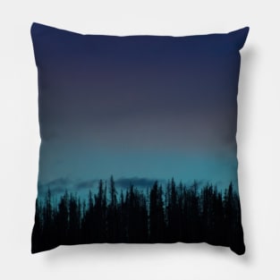 Hand painting Pillow