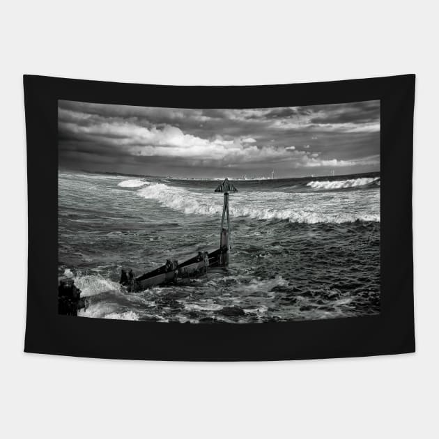 Looking North from Seaton Sluice Harbour Tapestry by Violaman