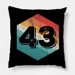 Vintage 1943 Retro Legendary, Birthday Pillow