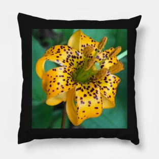 Teeny Orange Forest Lily Pillow