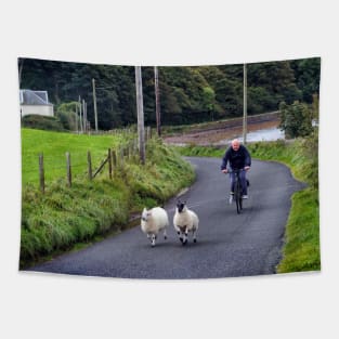 Sheep on the road - Campbeltown, Scotland Tapestry