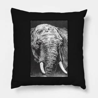 Elephant in graphite Pillow