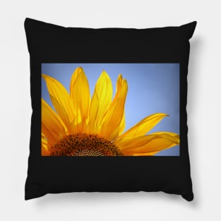 Afternoon Delight Pillow