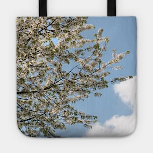 A tree flowering with White Cherry blossom with Blue Sky Tote